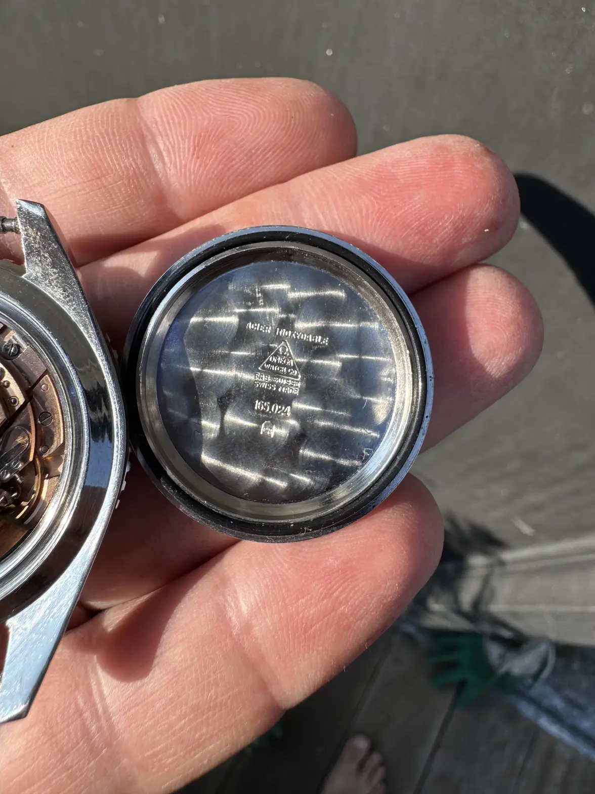 IMG_0398.webp IMG_0398.webp