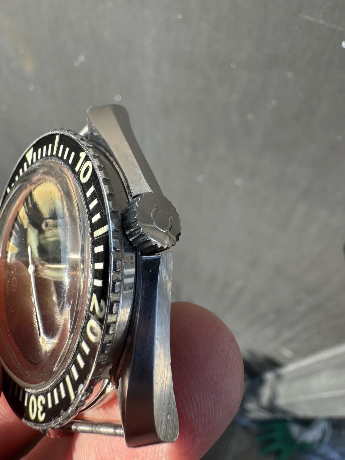 IMG_0401.webp IMG_0401.webp