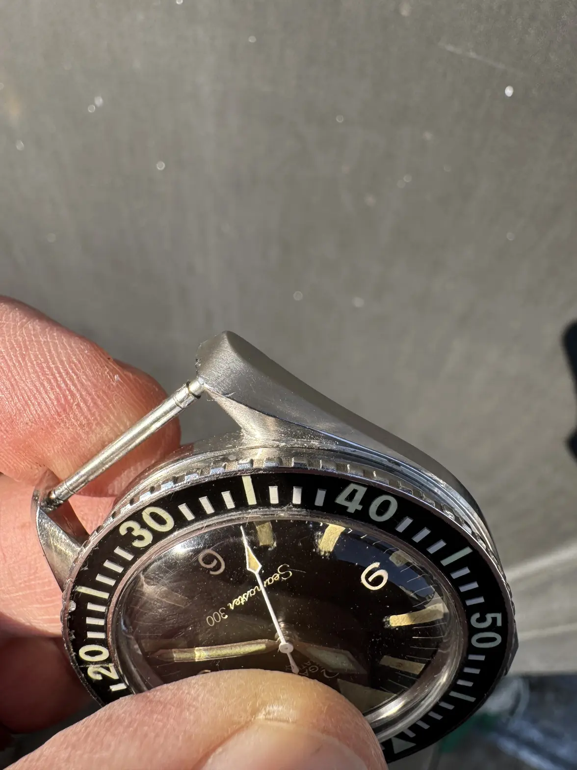 IMG_0404.webp IMG_0404.webp