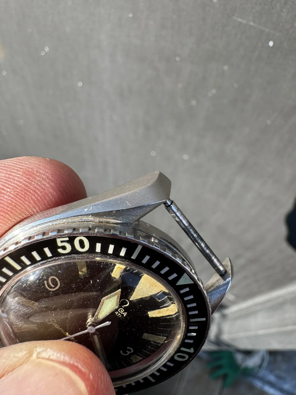 IMG_0403.webp IMG_0403.webp