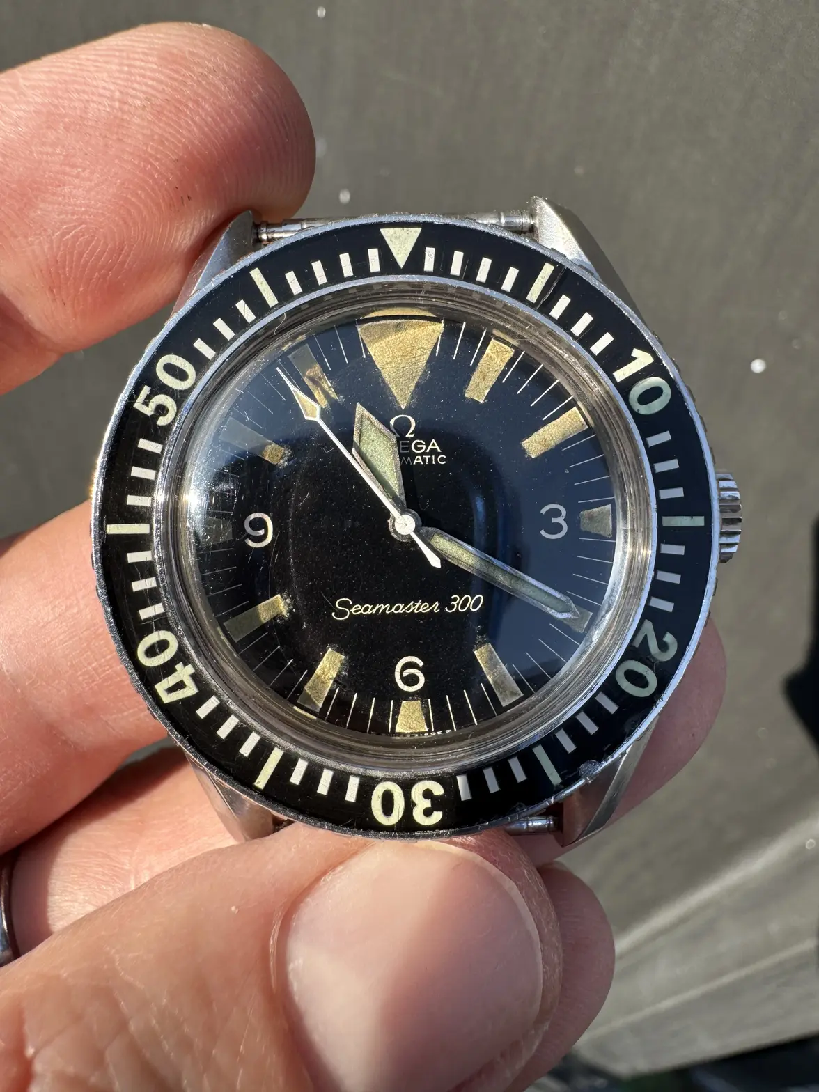 IMG_0406.webp IMG_0406.webp