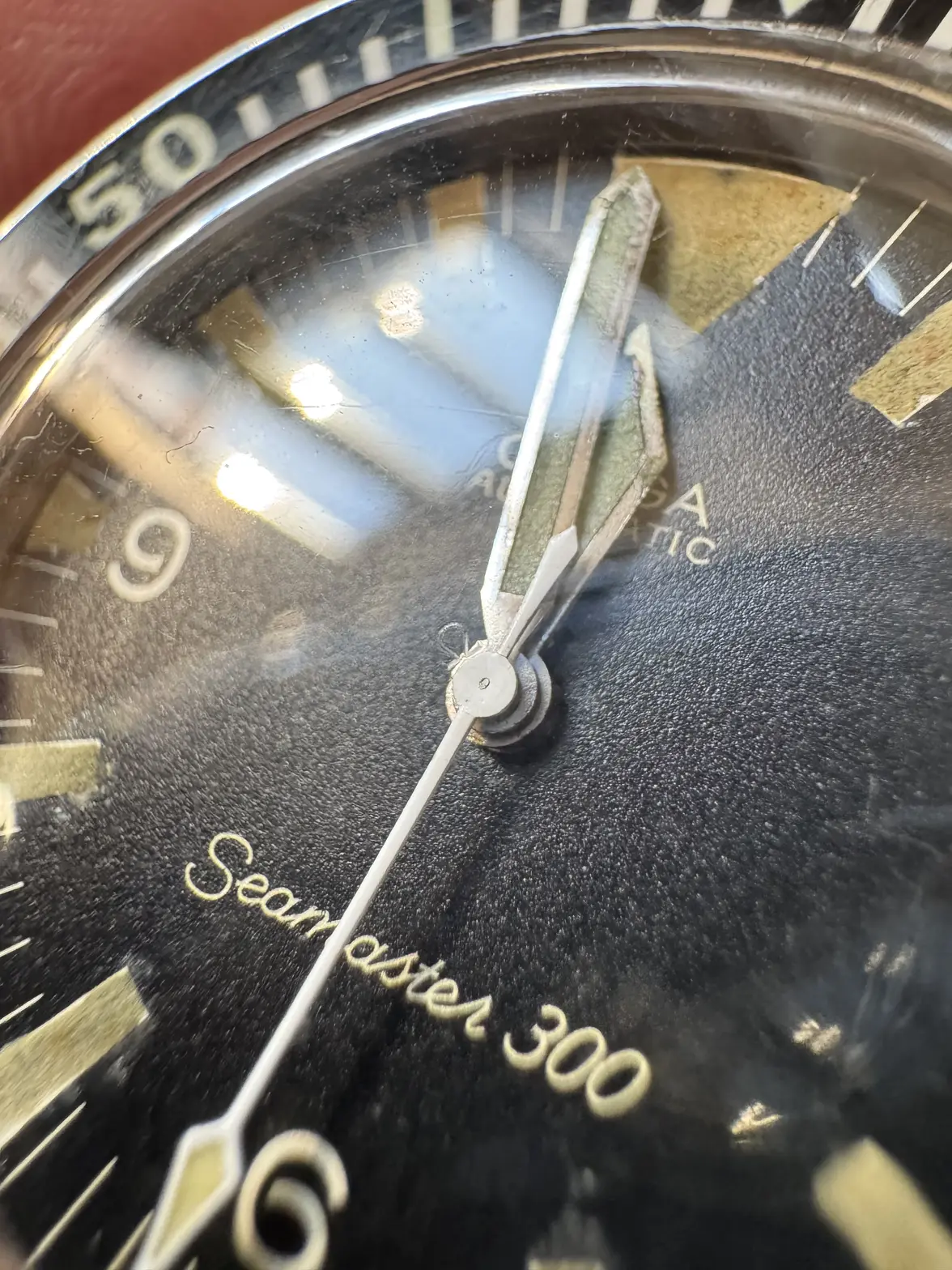 IMG_0408.webp IMG_0408.webp