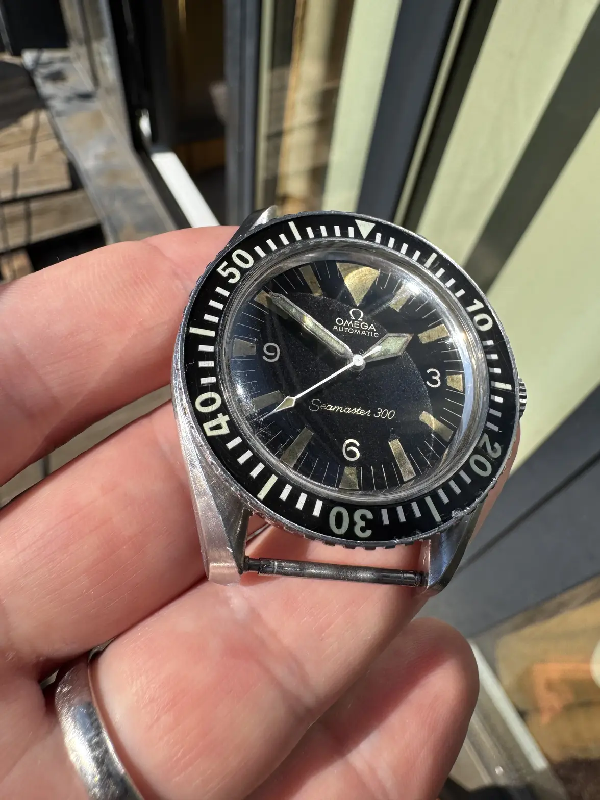 IMG_0391.webp IMG_0391.webp