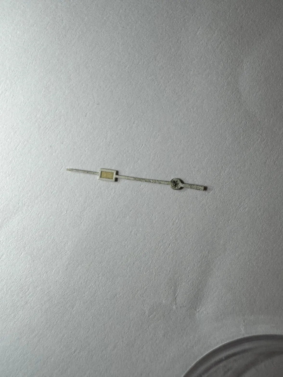 IMG_9810.webp IMG_9810.webp