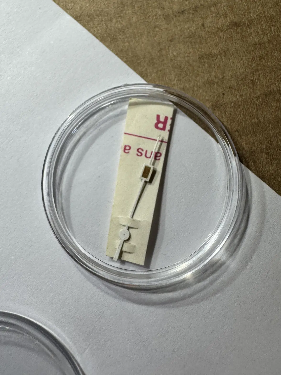 IMG_9811.webp IMG_9811.webp