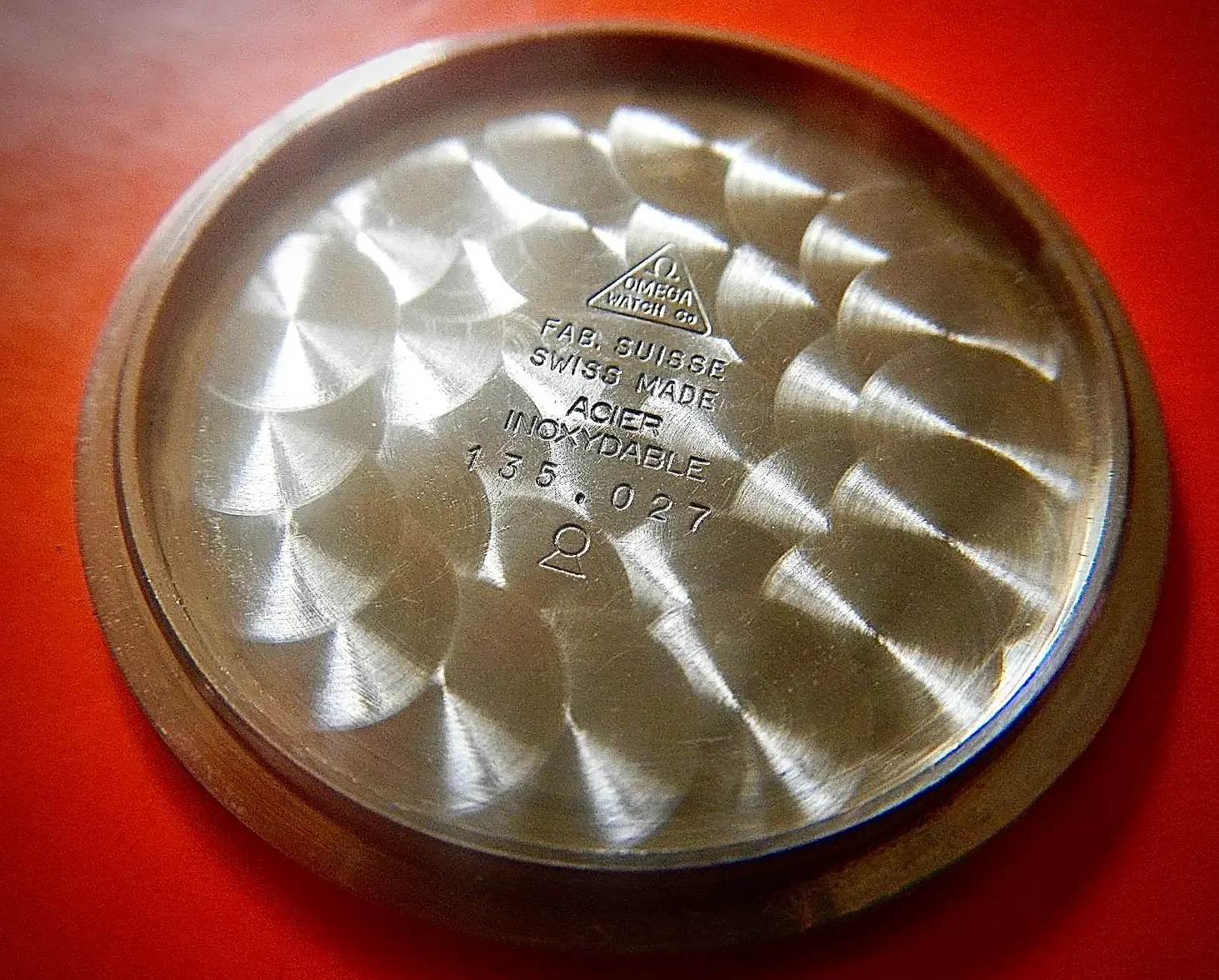 515038805_10161661196084537_2509847578124378295_n 2.webp