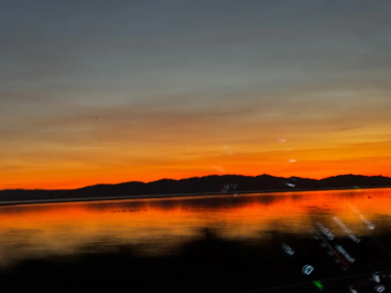 IMG_3994.webp
