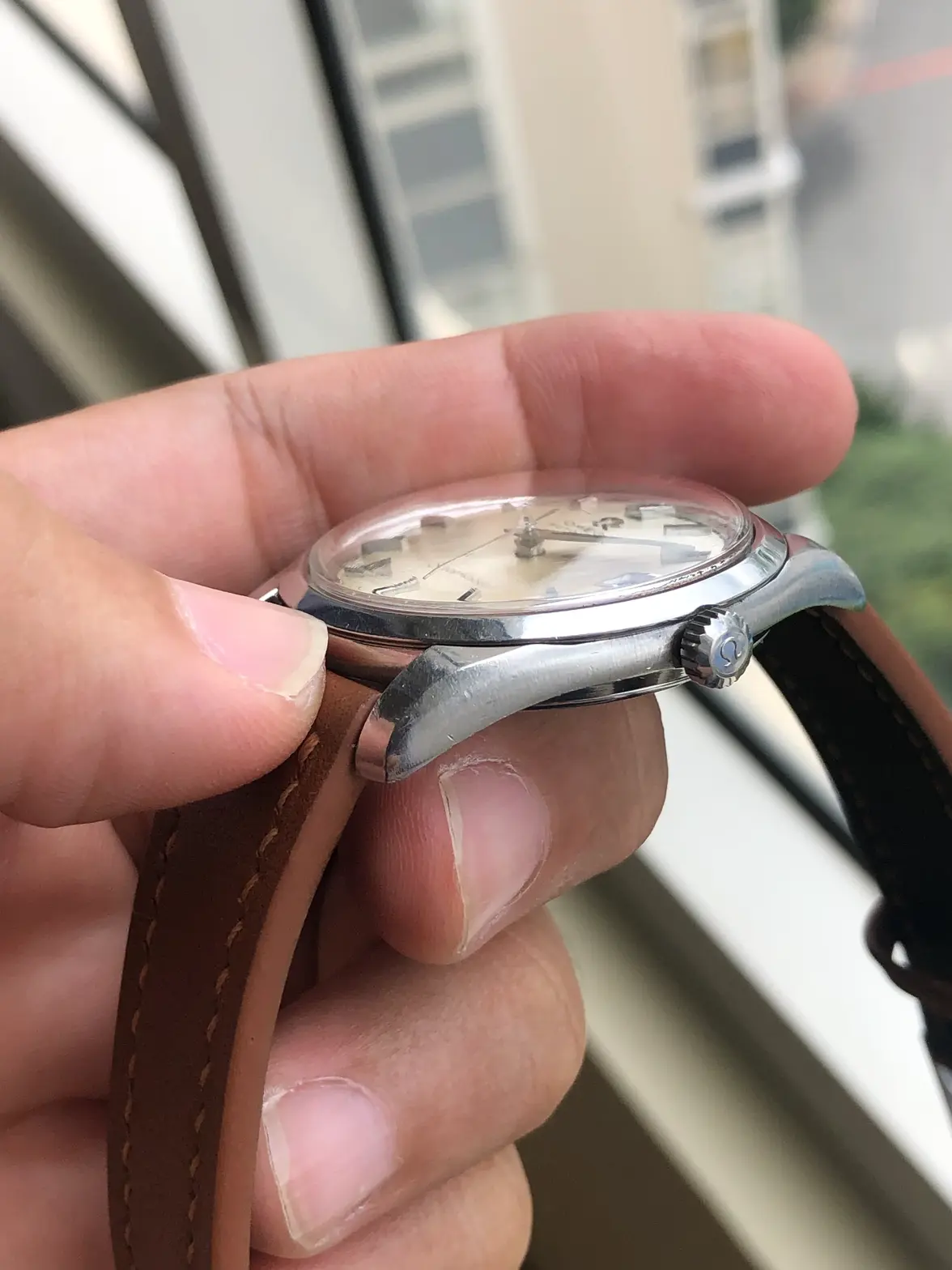 IMG_0790.webp IMG_0790.webp