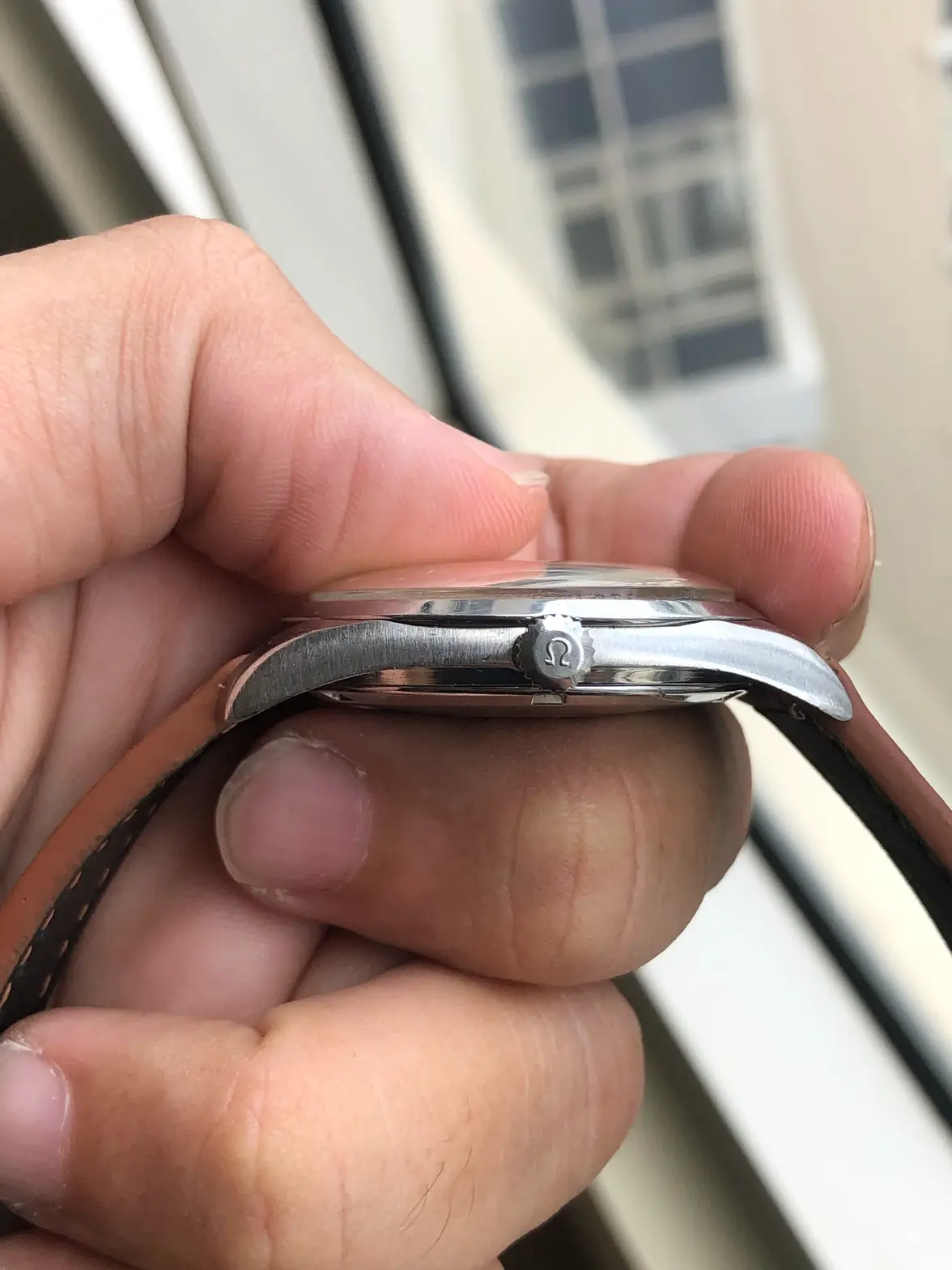 IMG_0791.webp IMG_0791.webp