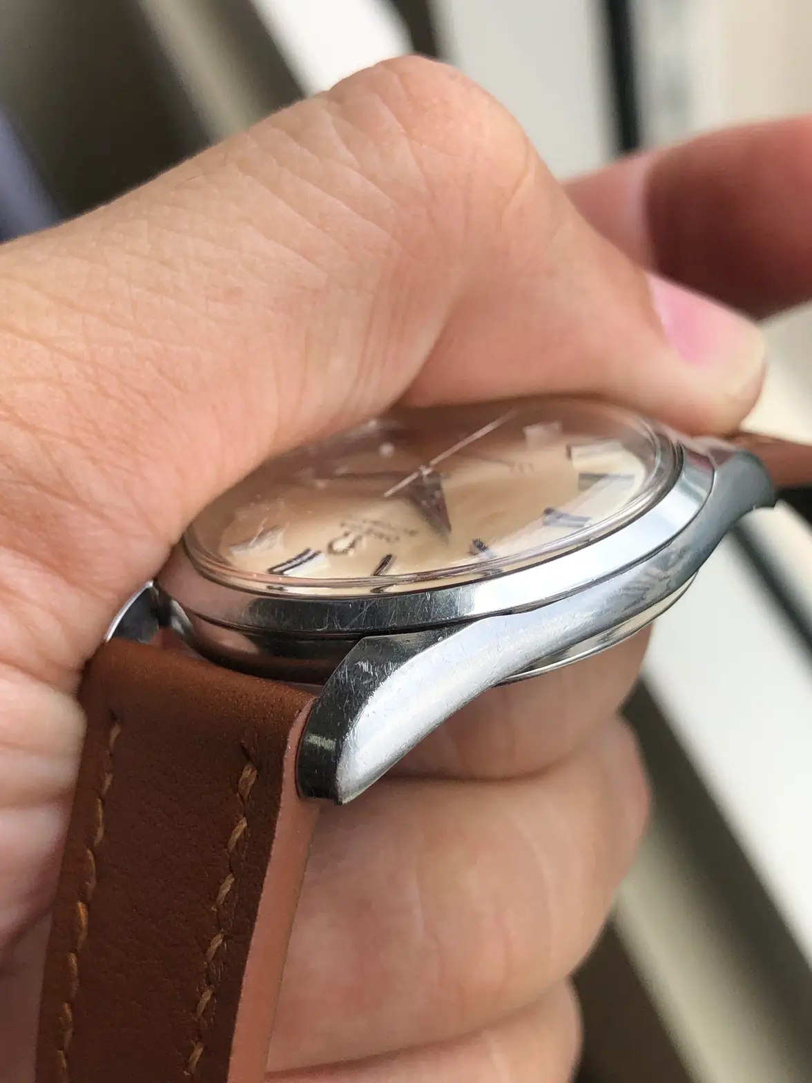 IMG_0794.webp IMG_0794.webp