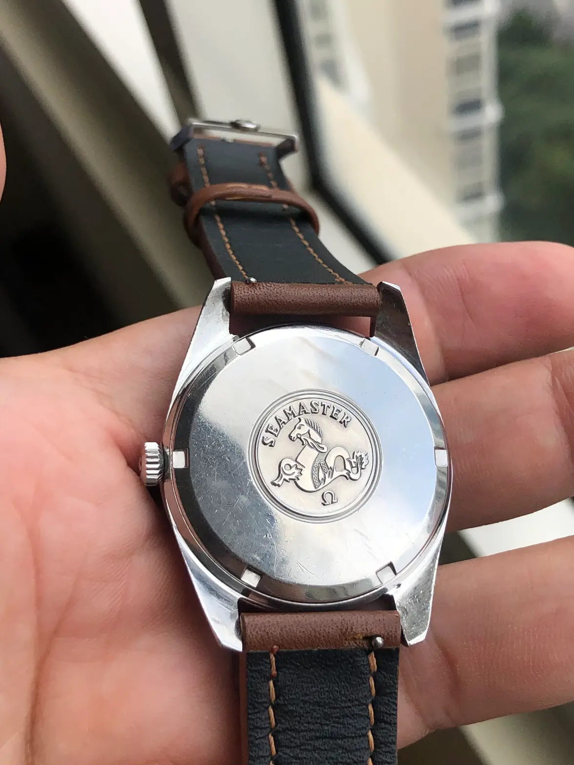 IMG_0797.webp IMG_0797.webp