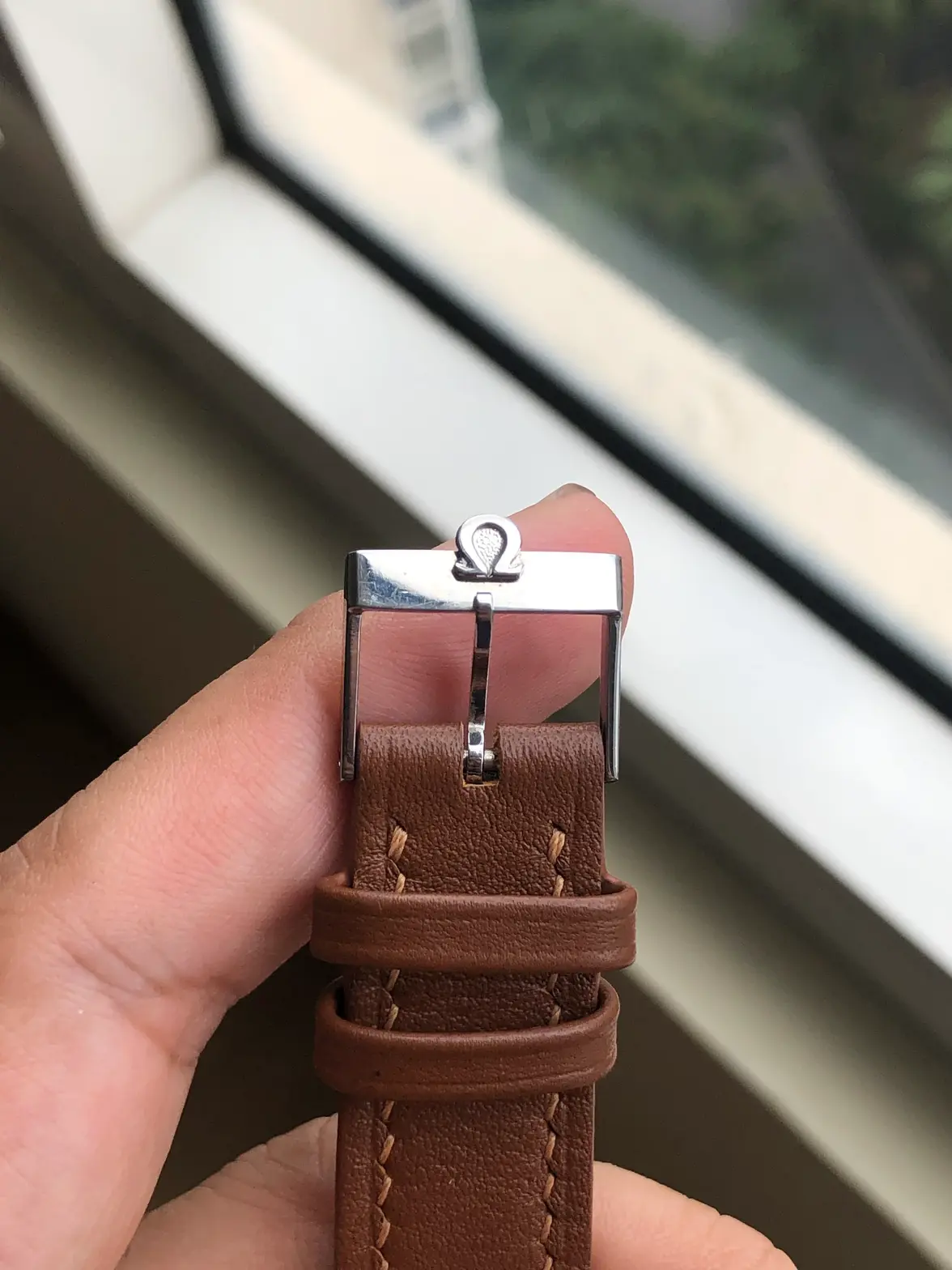 IMG_0798.webp IMG_0798.webp