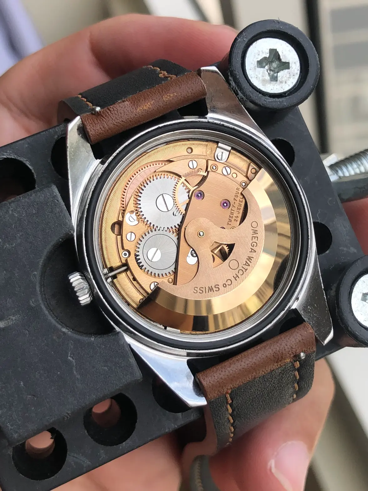 IMG_0800.webp IMG_0800.webp