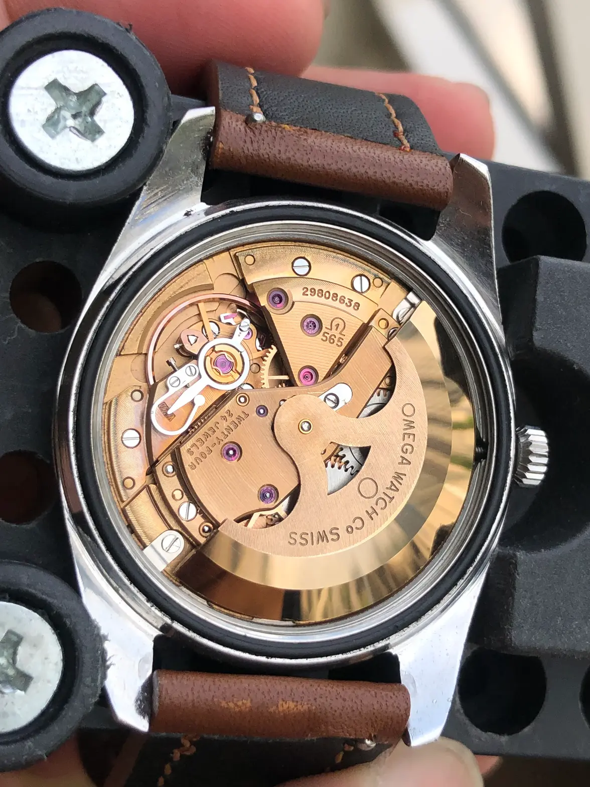 IMG_0801.webp IMG_0801.webp