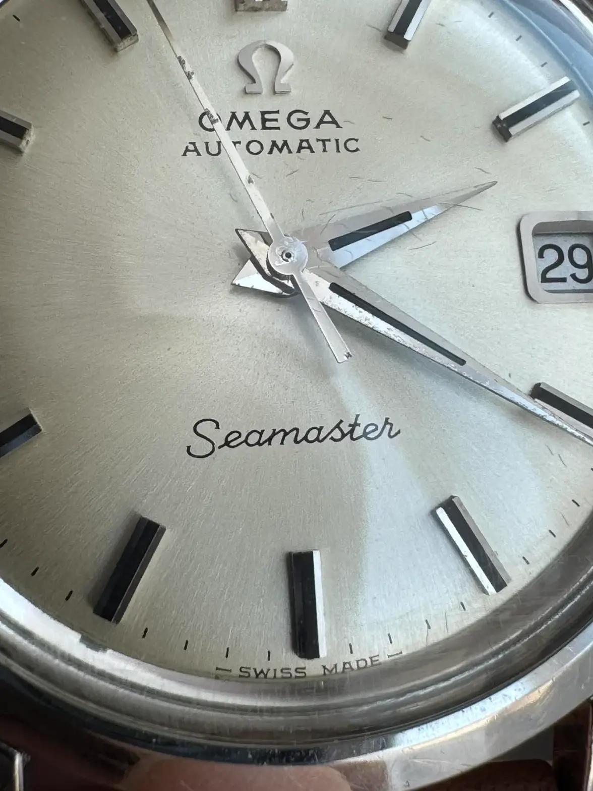 IMG_7893.webp IMG_7893.webp