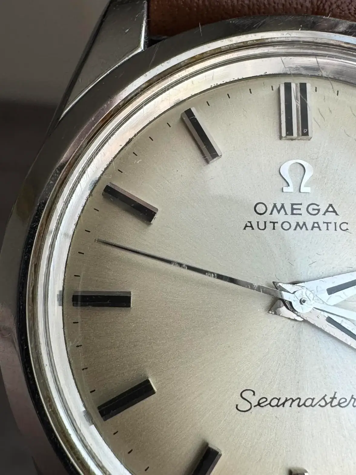 IMG_7894.webp IMG_7894.webp