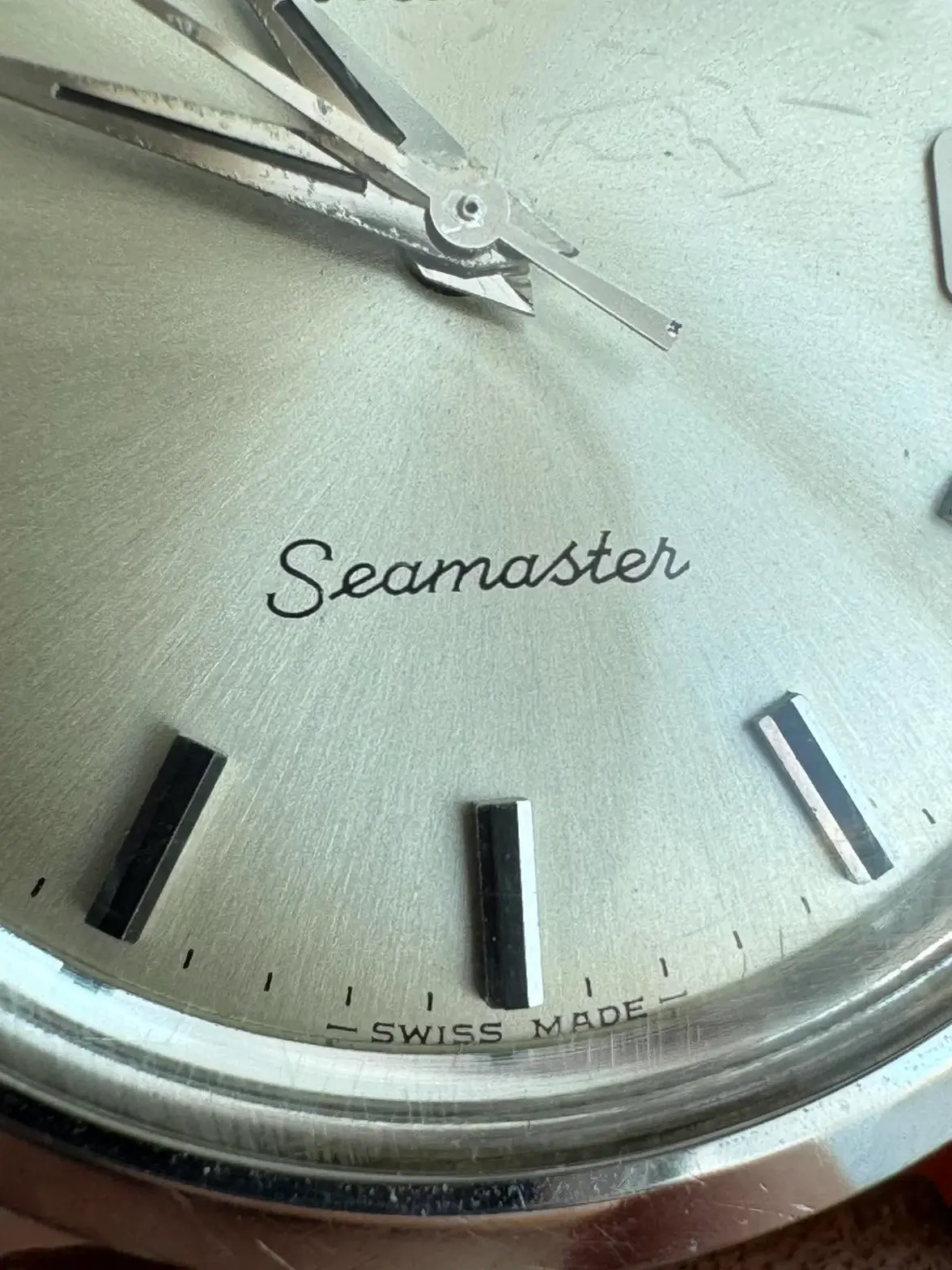 IMG_7896.webp IMG_7896.webp