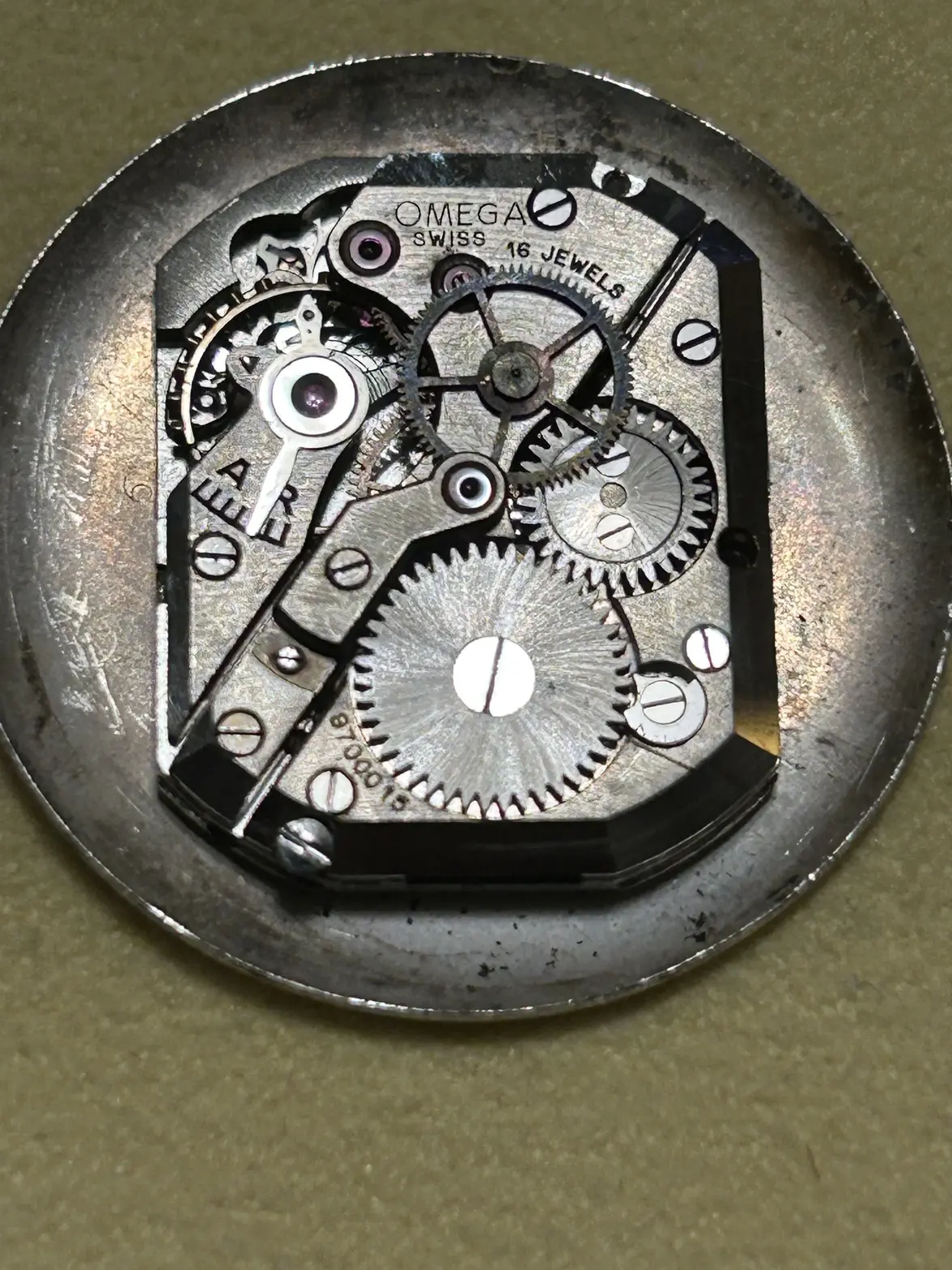 IMG_6558.webp IMG_6558.webp