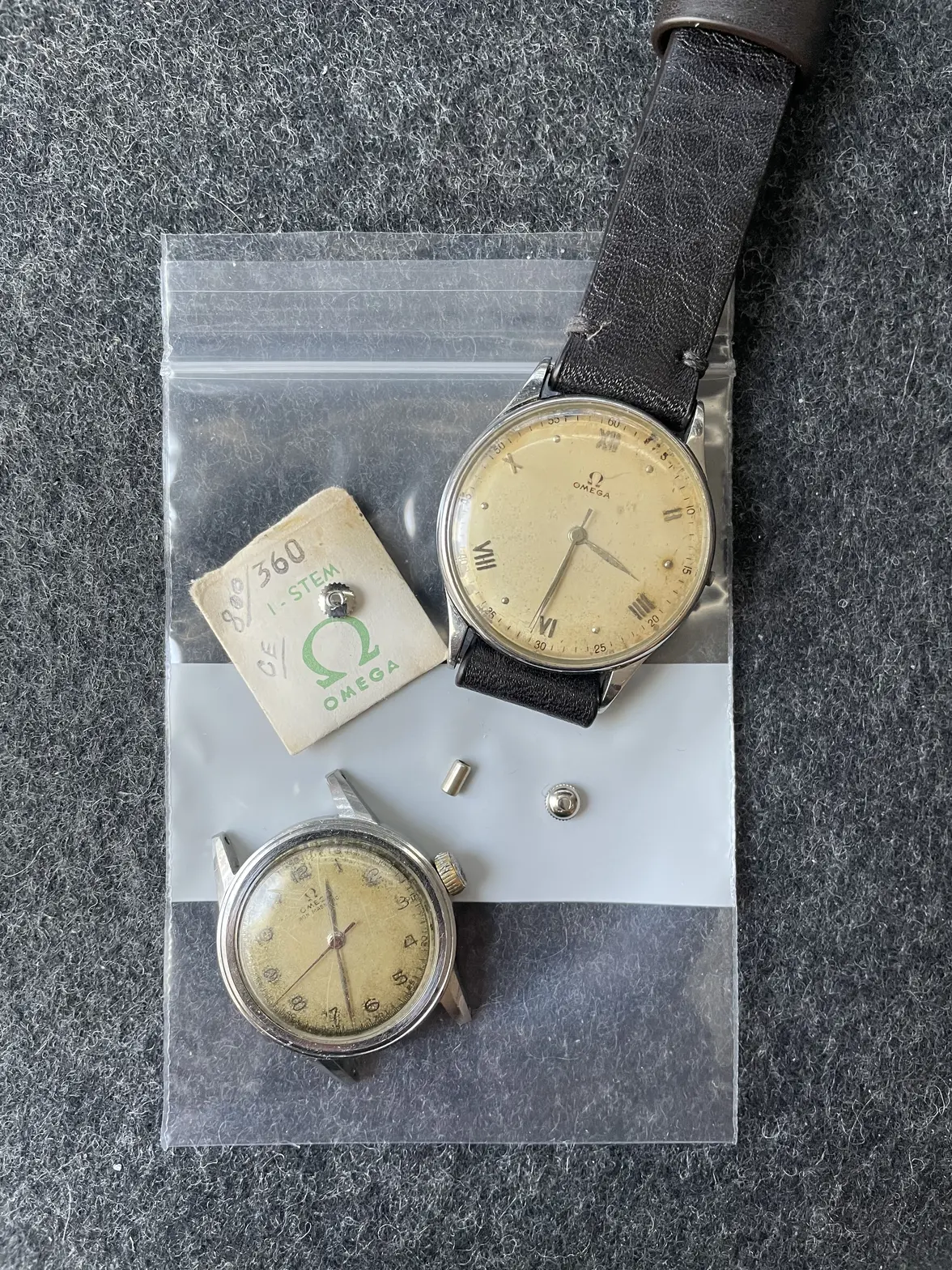 IMG_0439.webp IMG_0439.webp