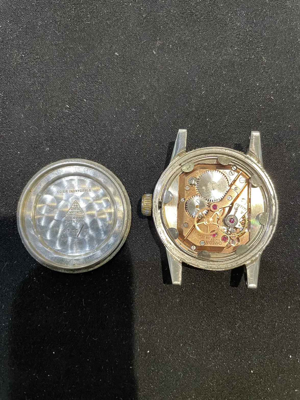 IMG_0352.webp IMG_0352.webp