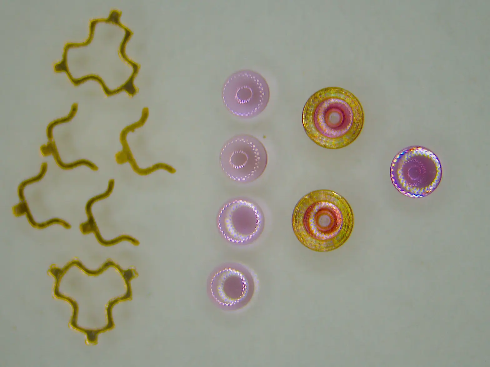 6206 Cap Jewels.webp