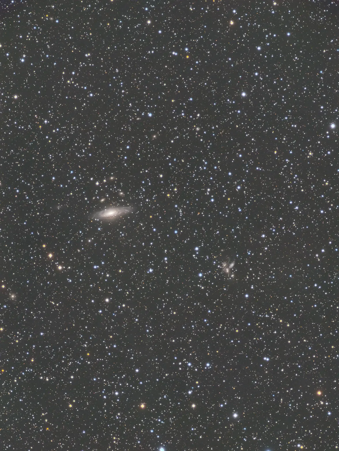 NGC7331_LRGB_001send.webp
