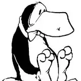 _l2M3DtjBooBI7xWFiRvjjQ=s160-c-k-c0x00ffffff-no-rj.webp _l2M3DtjBooBI7xWFiRvjjQ=s160-c-k-c0x00ffffff-no-rj.webp