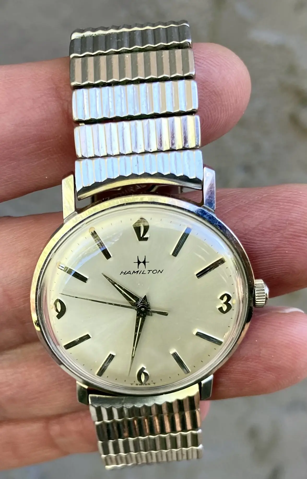 IMG_5446.webp IMG_5446.webp