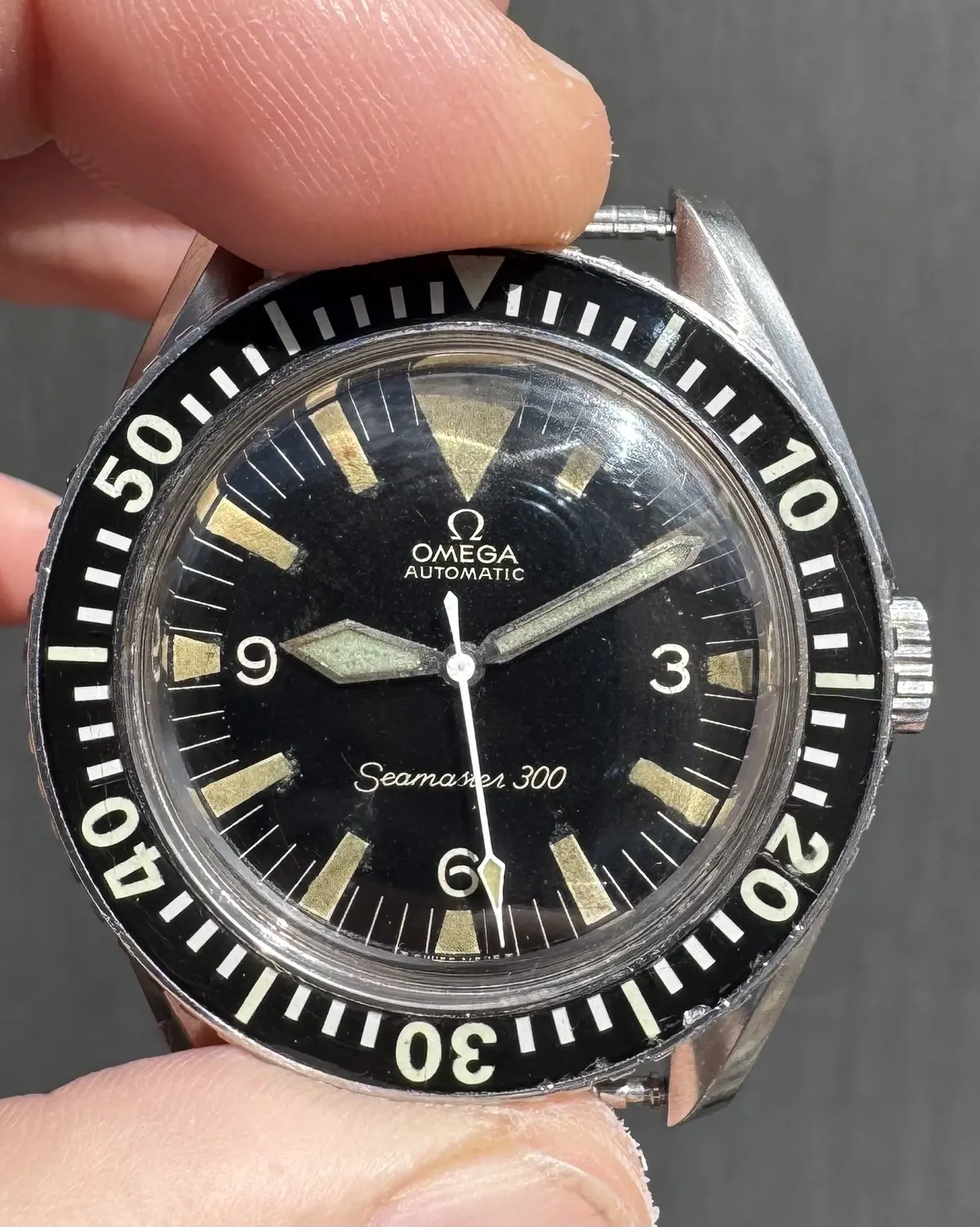 IMG_0436.webp IMG_0436.webp