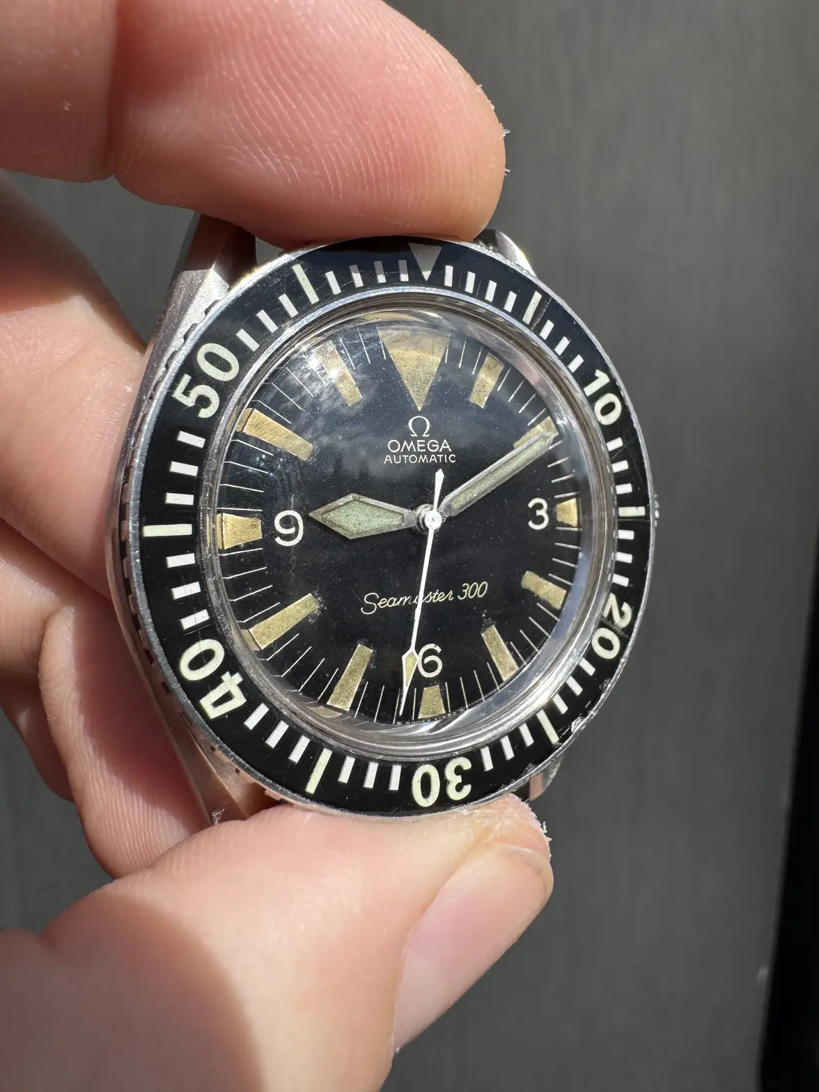 IMG_0437.webp IMG_0437.webp