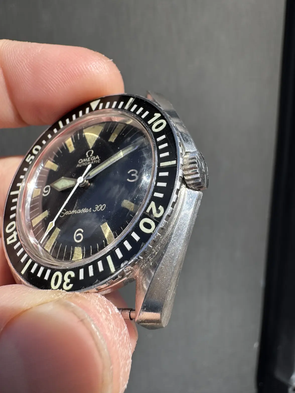 IMG_0438.webp IMG_0438.webp