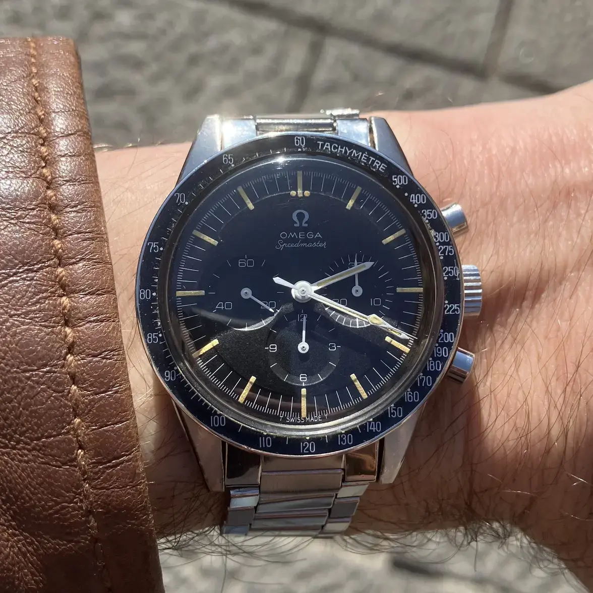 my ed white bologna.webp