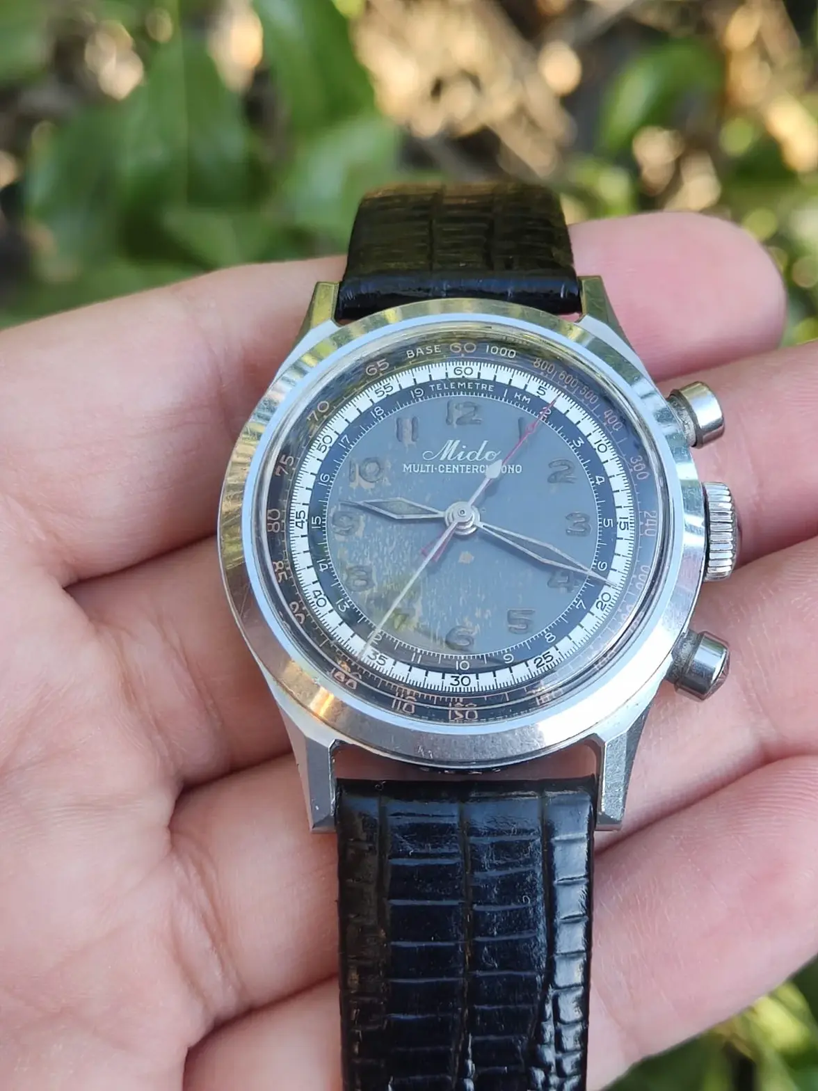 WhatsApp Image 2026-04-02 at 4.43.53 PM.webp