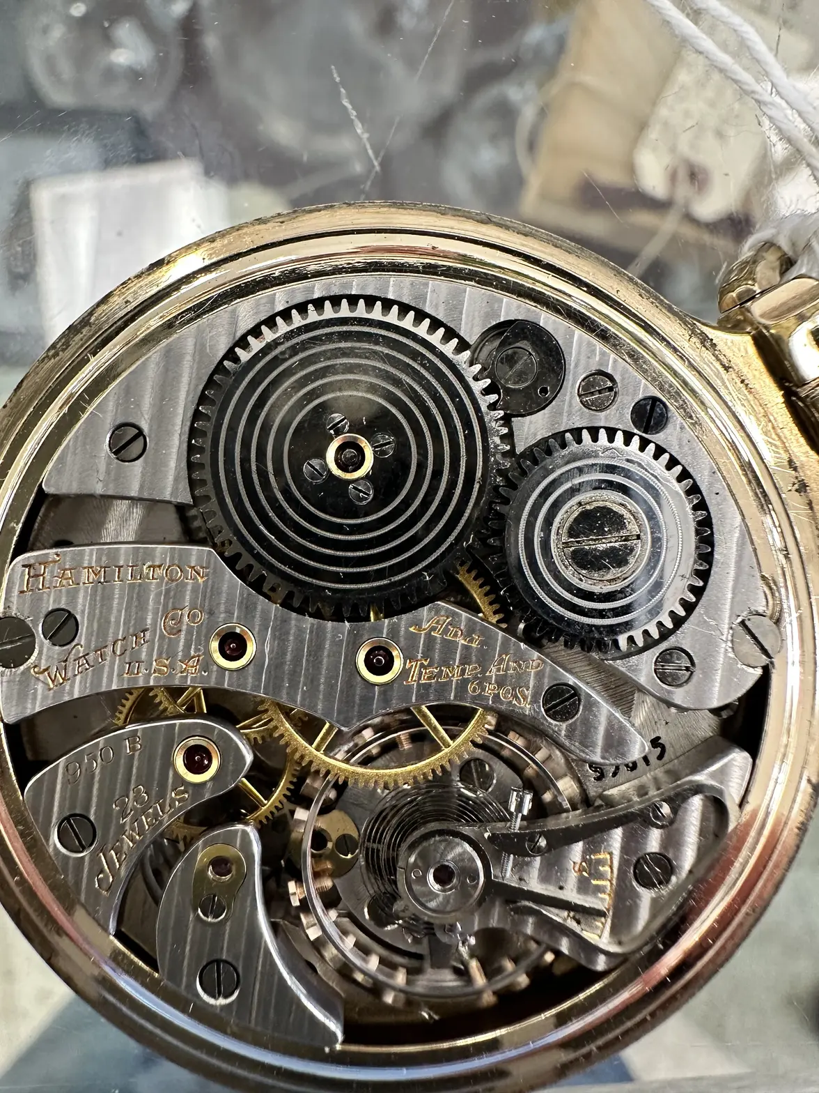 IMG_1715.webp IMG_1715.webp