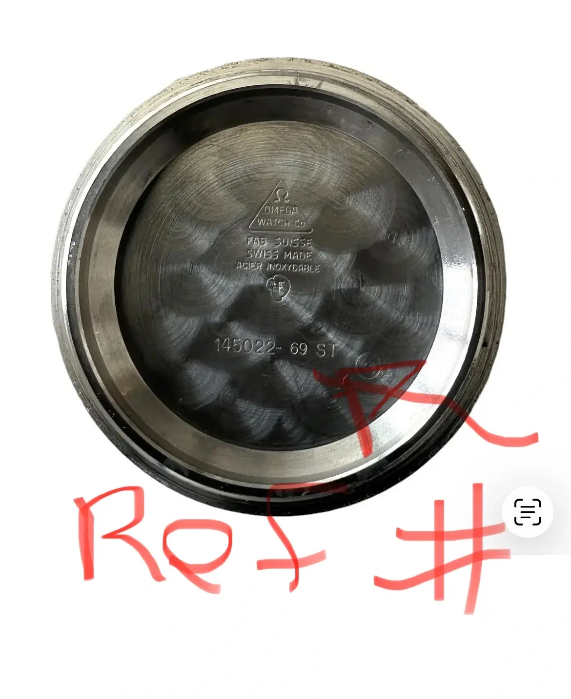 IMG_5821.webp IMG_5821.webp