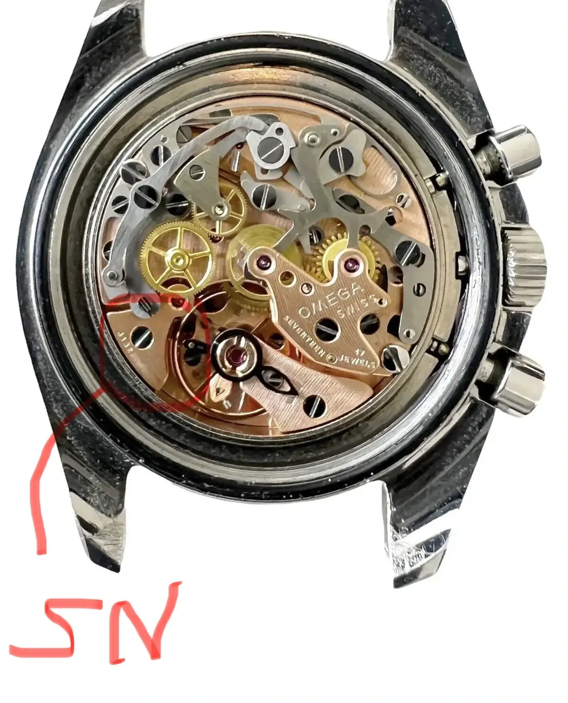 IMG_5822.webp IMG_5822.webp