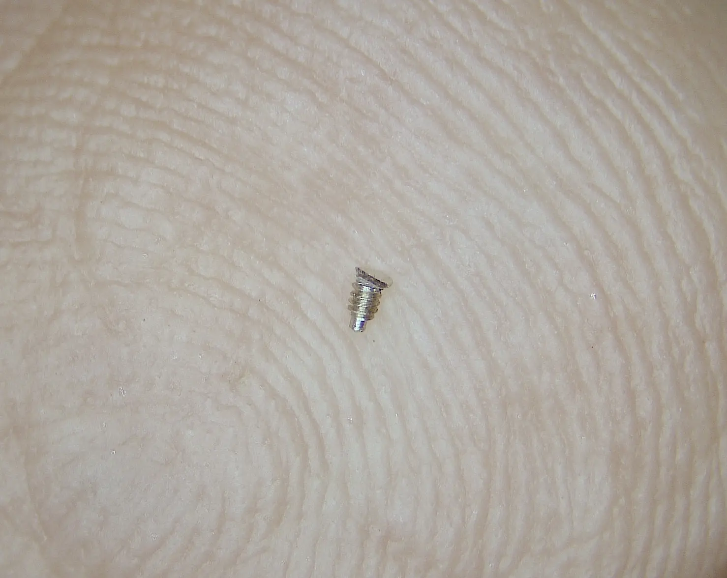 Broken Screw Head.webp