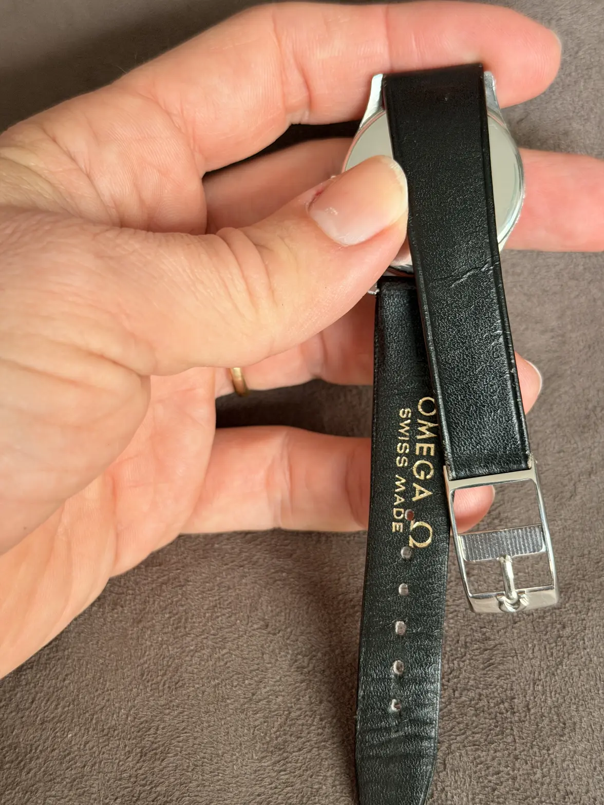 IMG_3962.webp IMG_3962.webp