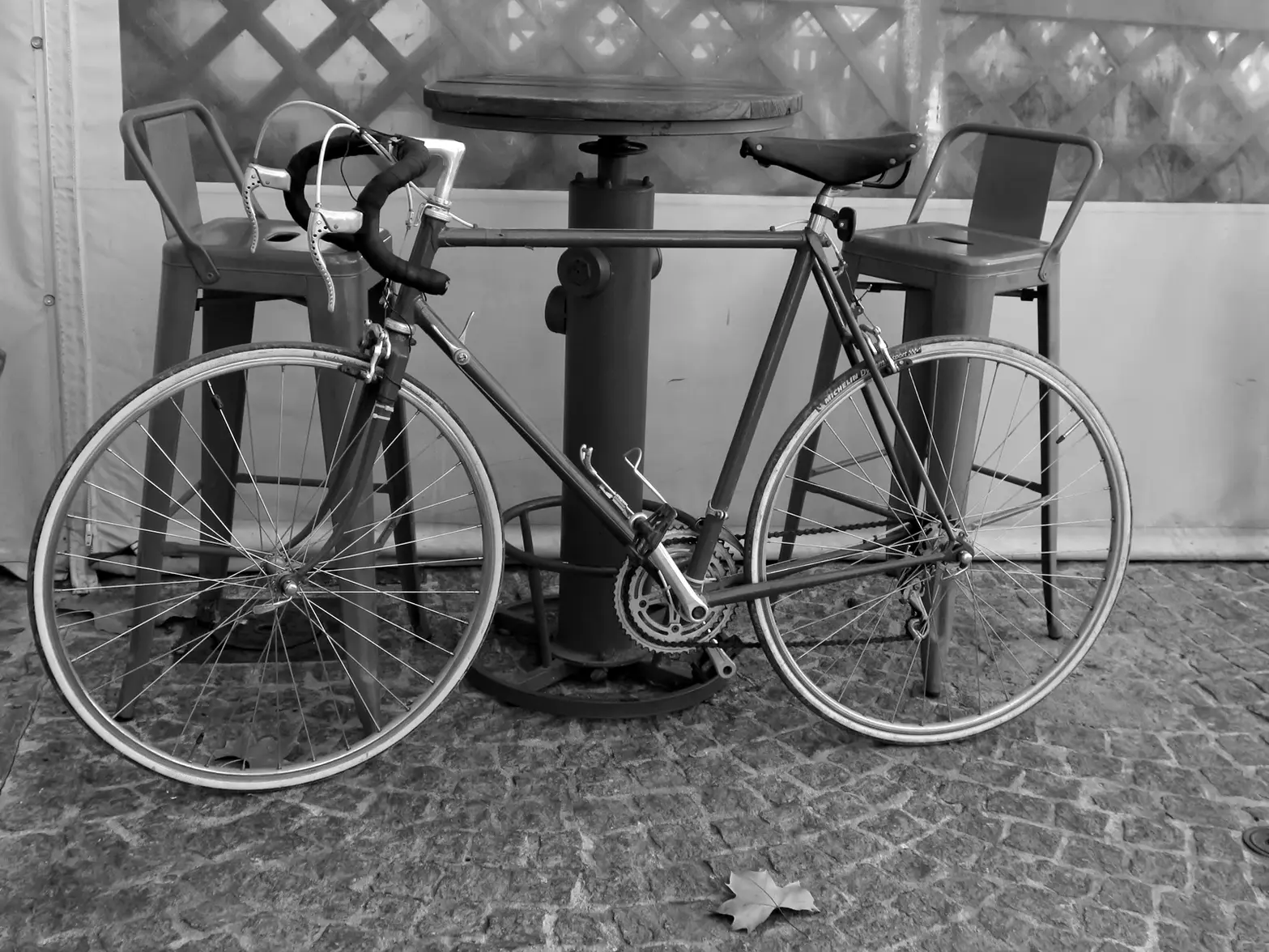 IMG_3017 fahrrad lorgues msw.webp