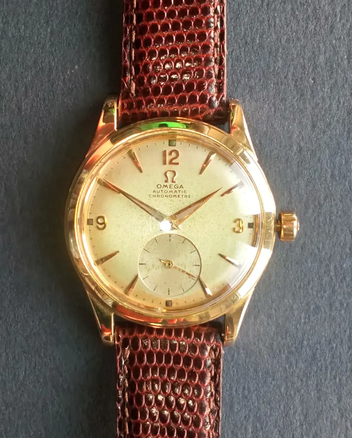 DSC_1231 cropped.webp