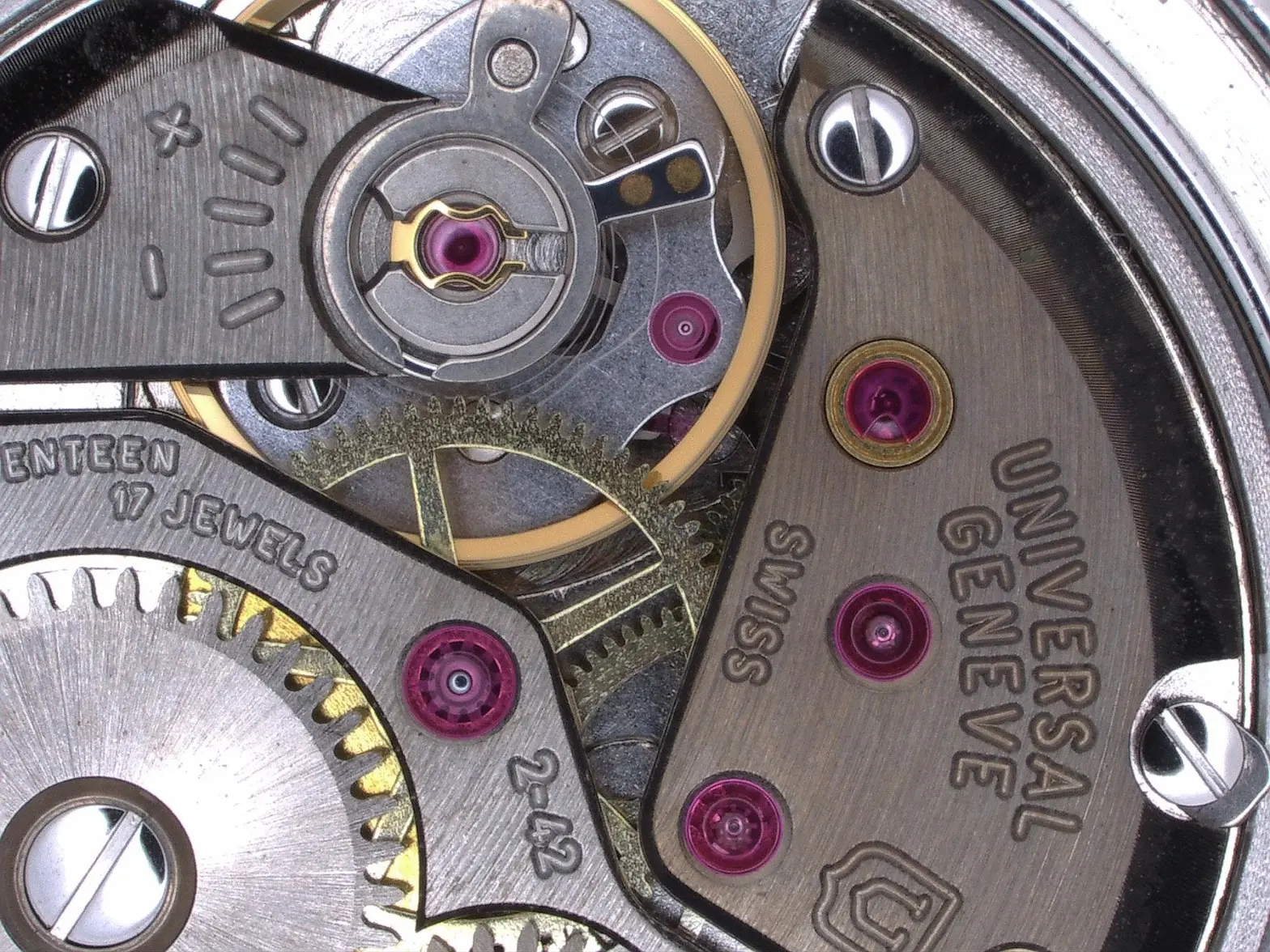 WhatsApp Image 2025-11-01 at 13.34.43.webp