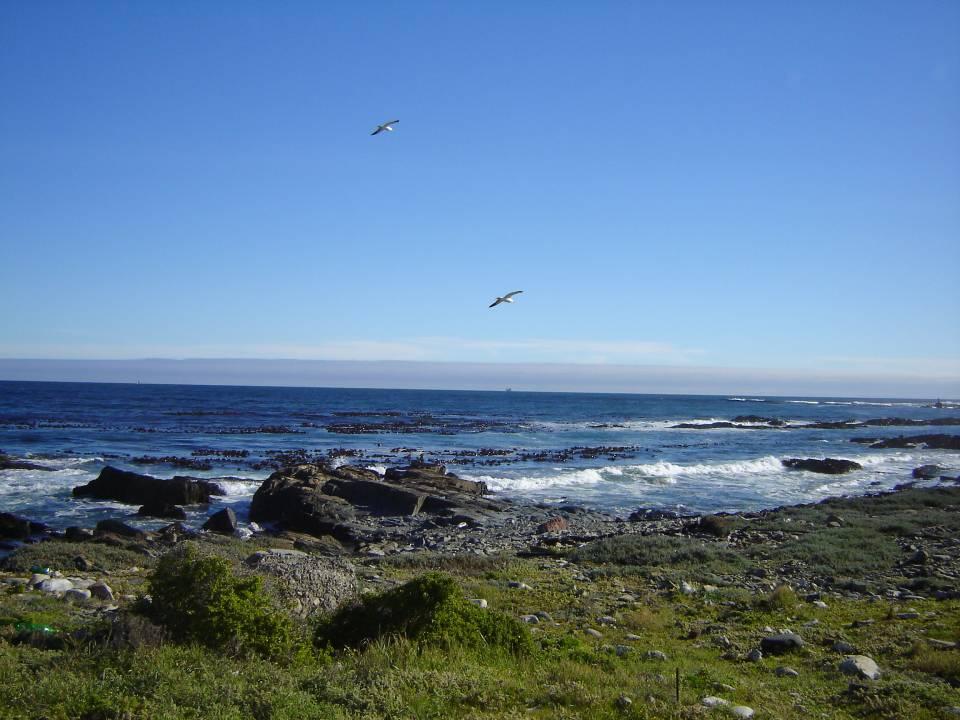 2005 AFRICA DO SUL 07.JPG