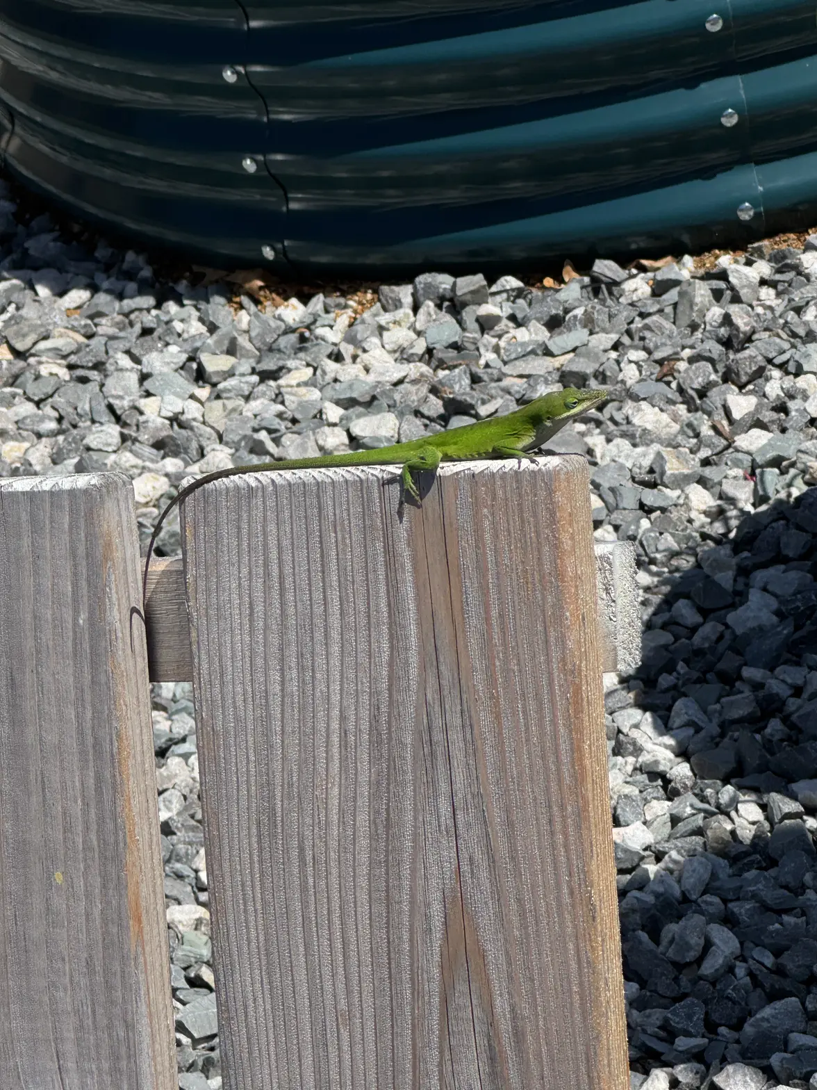 IMG_0513.webp