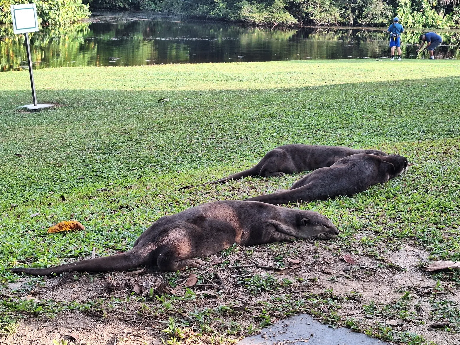 20260315_082543.webp