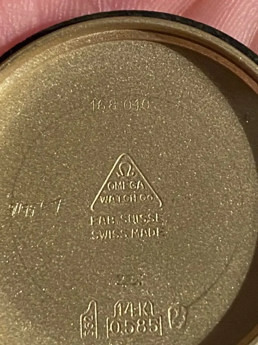 271197401_2273222012977382_349553915569458933_n.webp