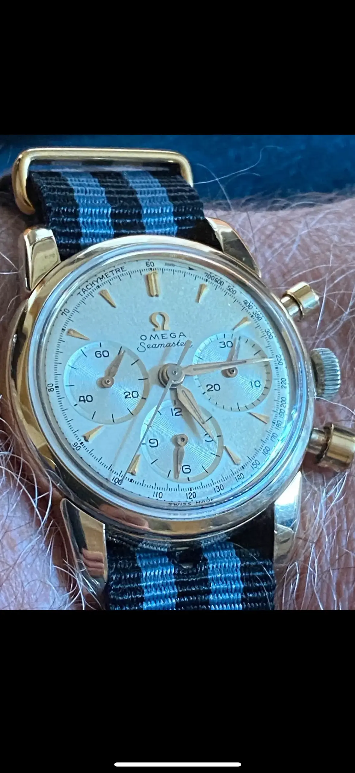 IMG_1680.webp