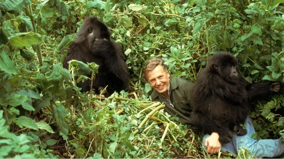 our-favourite-david-attenborough-moments-from-1979-to-now_652dc0ec9b75b.webp