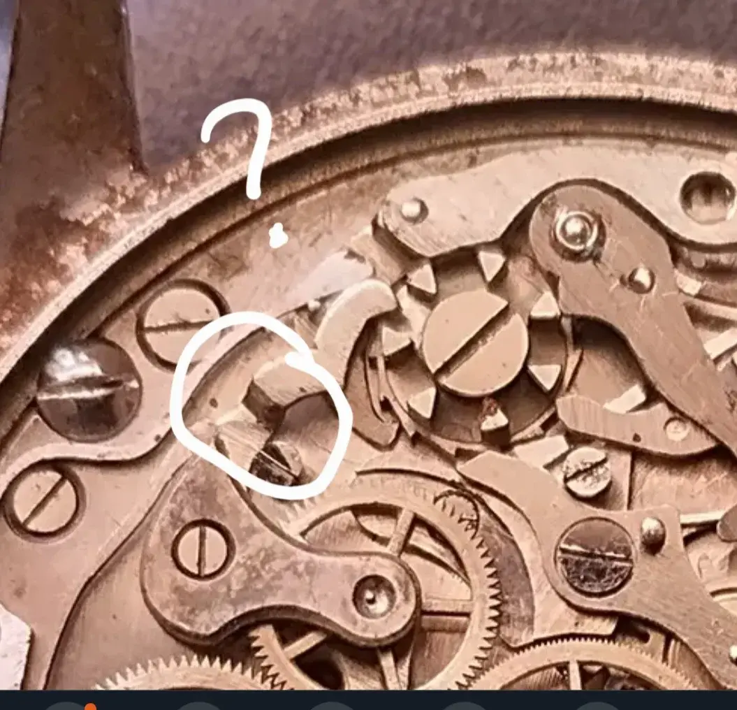 Screenshot_20260511_104155_DuckDuckGo.webp