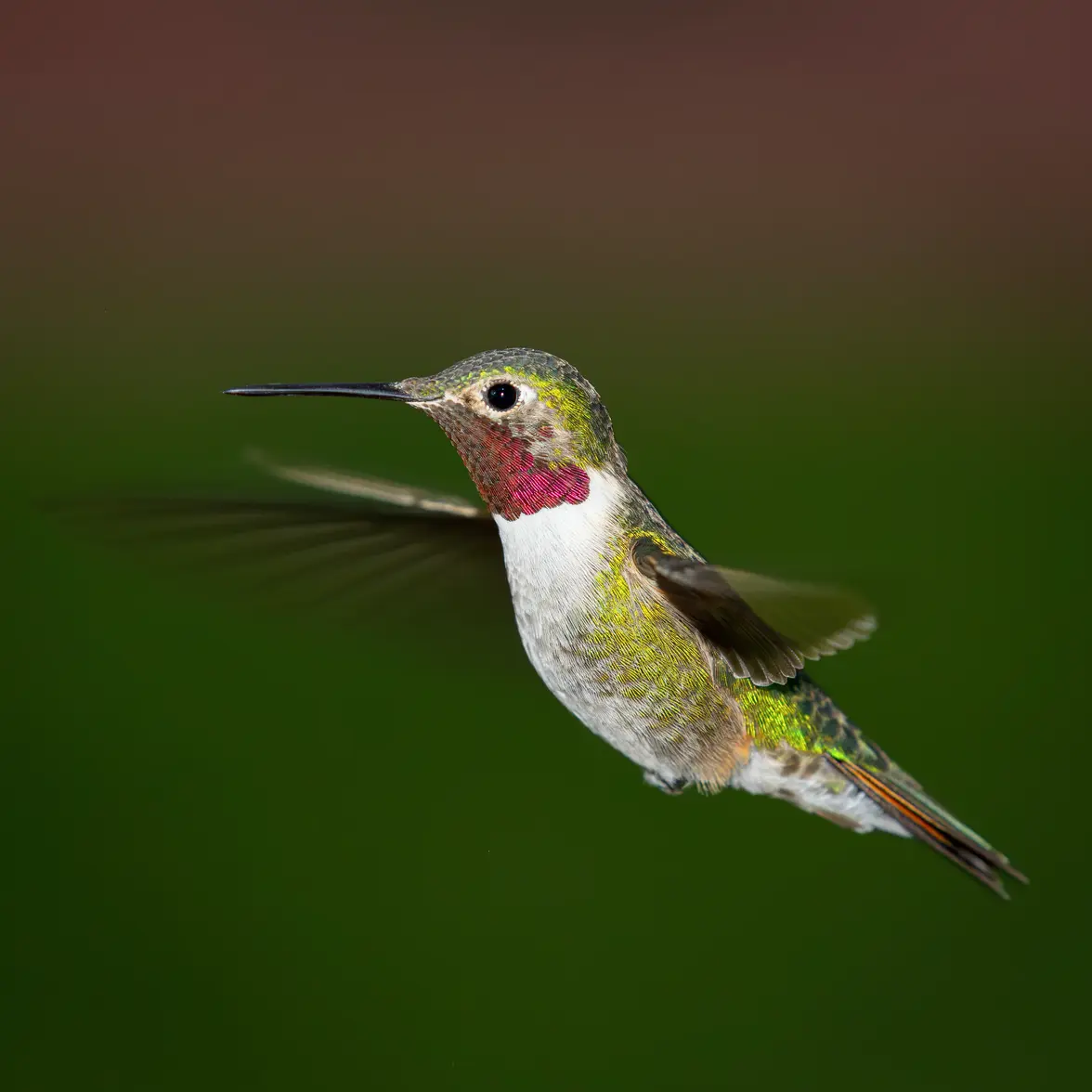 9H7A0649.webp