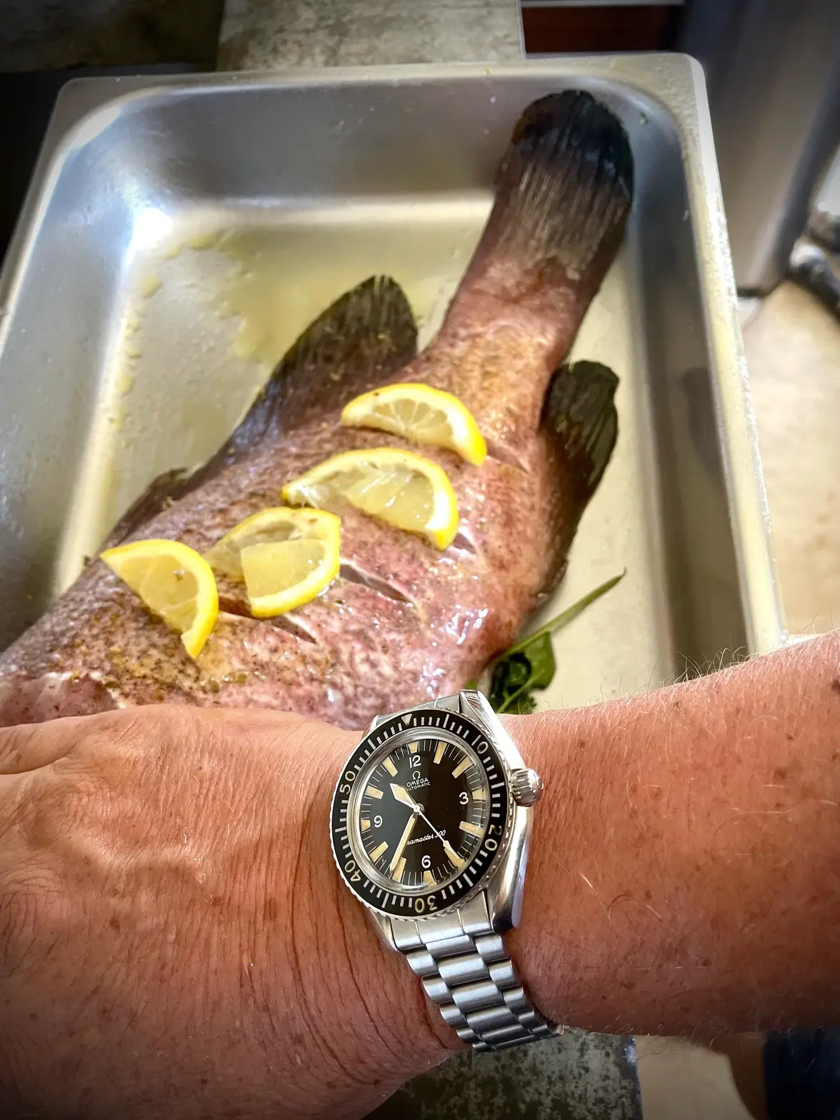 OSM300LWC-fishingC.webp